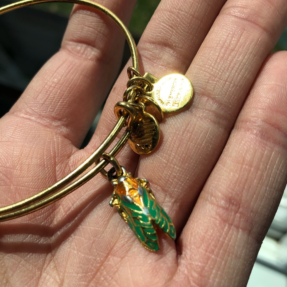 Alex and Ani Cicada Bracelet